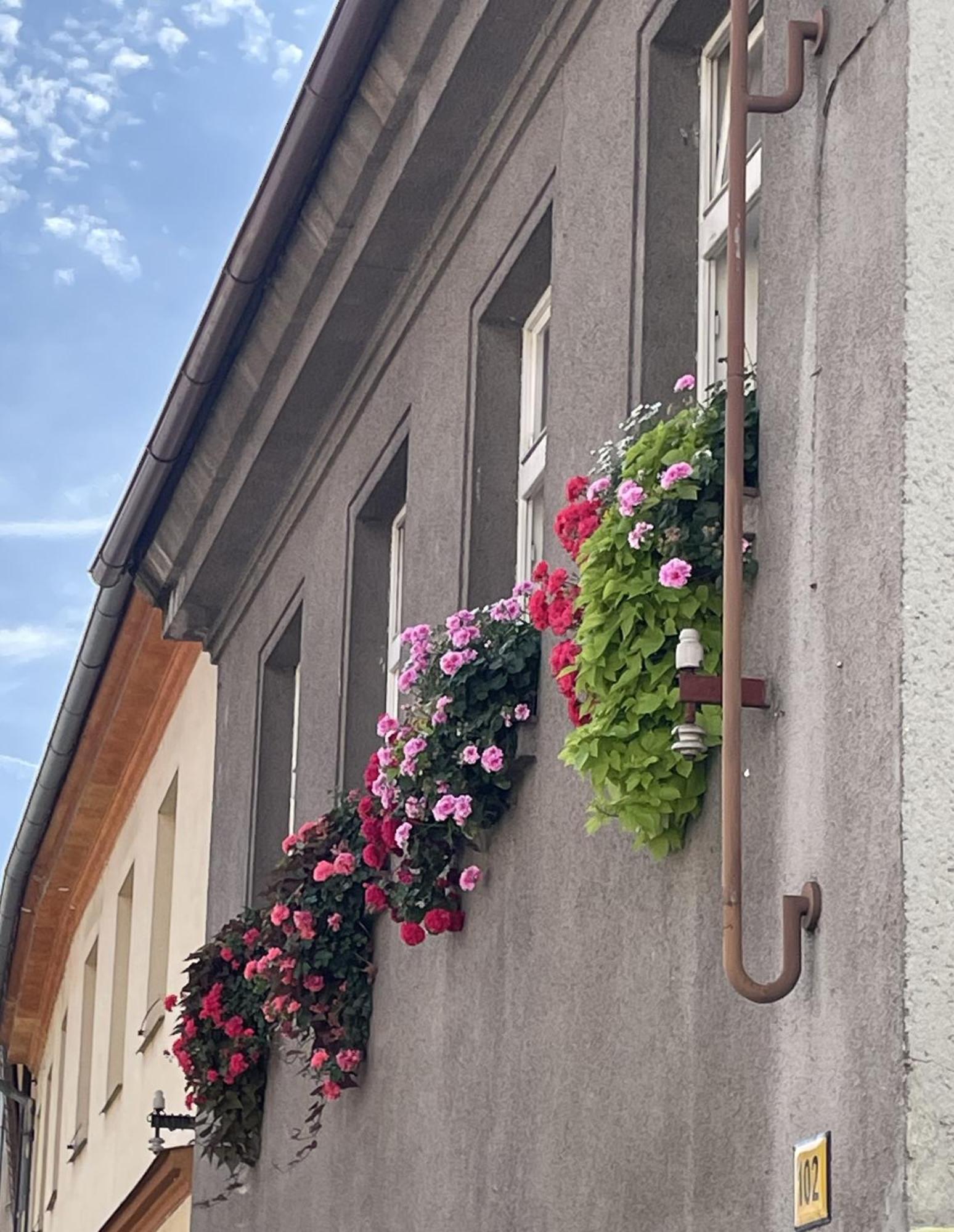 Family Apartment Pisek City Centre Ii. Buitenkant foto